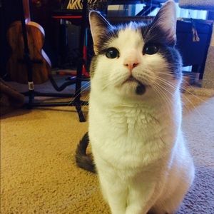 Meet your Posher, Kelsey